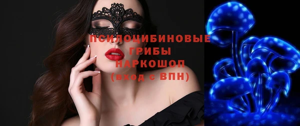 хмурый Алексеевка