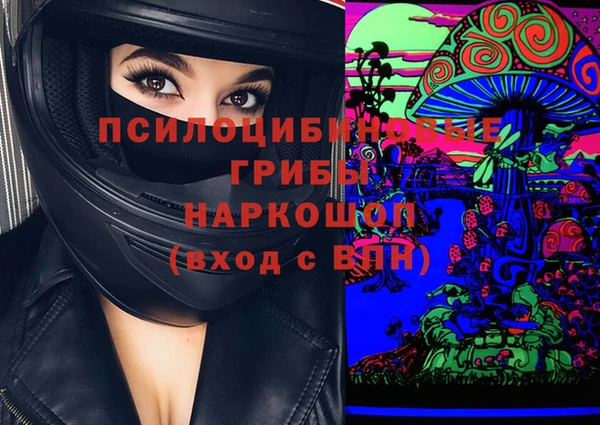 хмурый Алексеевка