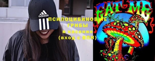 хмурый Алексеевка