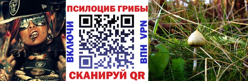 Галлюциногенные грибы мухоморы купить наркоту МЕГА как войти Шумиха