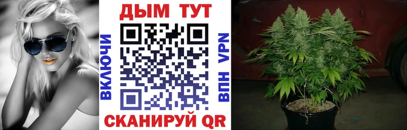 kraken вход  Шумиха  Каннабис план 